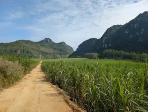 Chongzuo, Guangxi, 23.11.2025