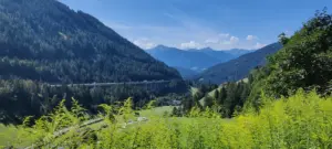 Brenner, 08.08.2022