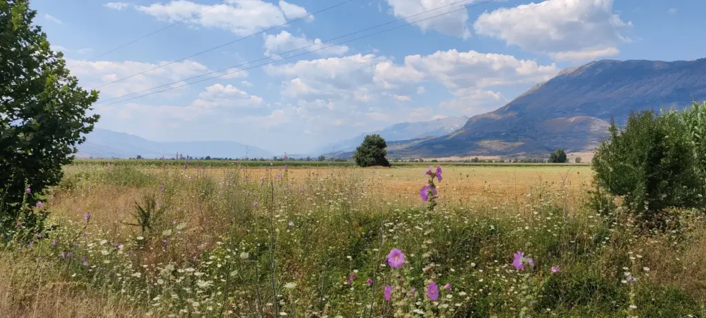 Zervat, Albanien, 19.07.2022