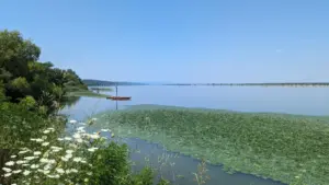 Dušanovac, Serbien, 16.07.2023
