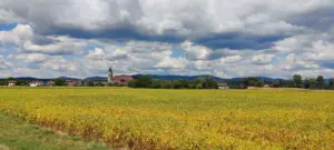 Niederalteich, Donau, 12.08.2022