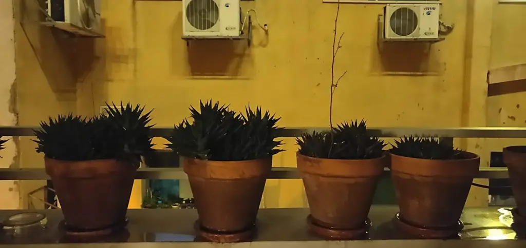Florentin Hostel, Tel Aviv, Israel, 27.01.2020